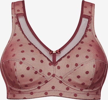 SUSA BH 'limited' in Rot: Vorderseite