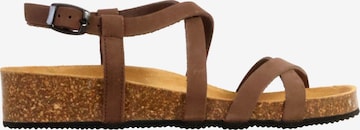 The Divine Factory Sandale 'Ledersandalen Noga Tahel Edge' in Braun: Vorderseite
