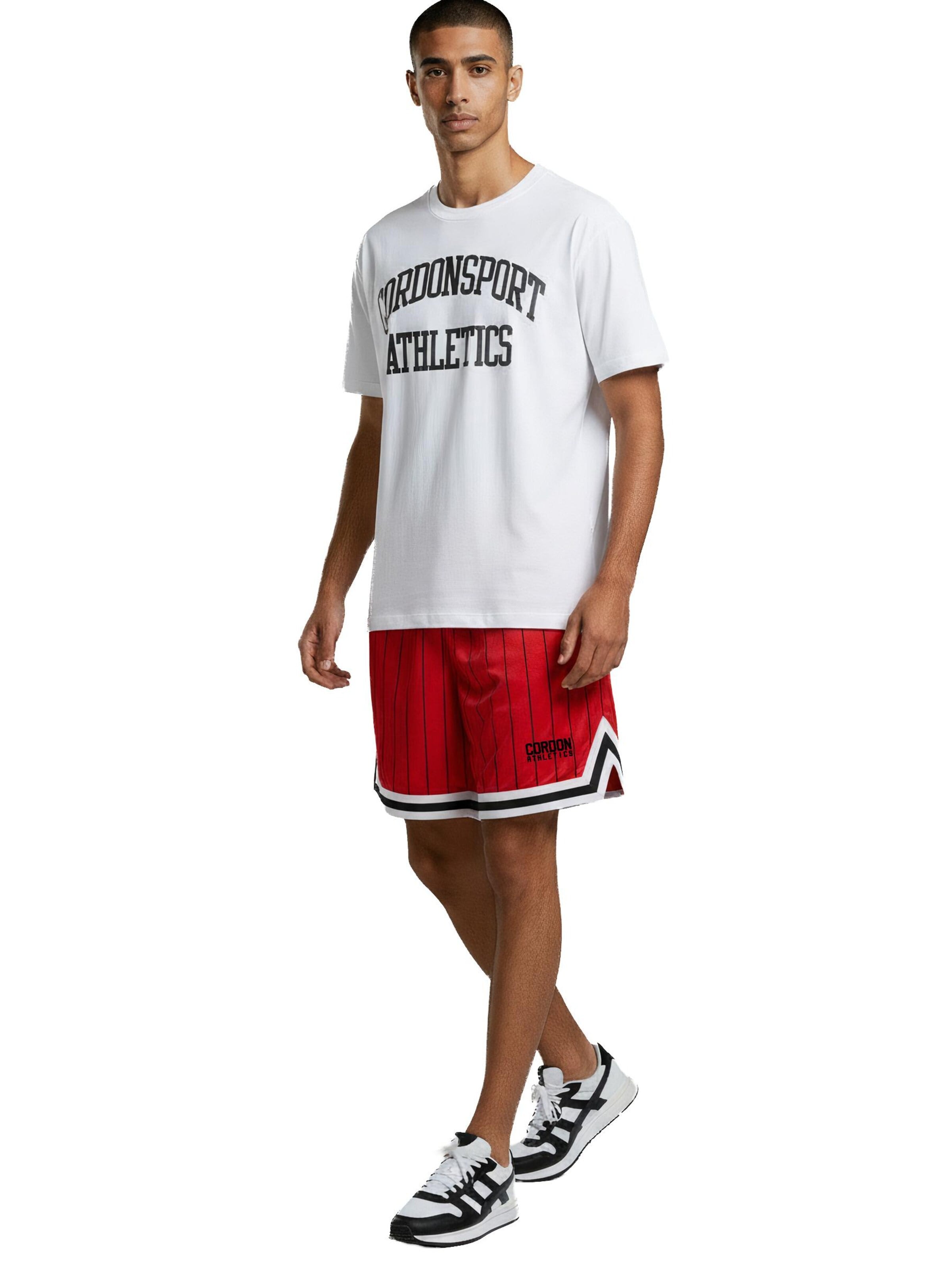 Cordon Sport Regular Pants 'Stripe' in Red: front