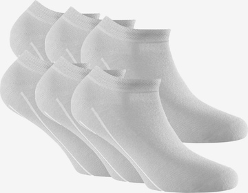 Rohner Basic Socks in Grey: front