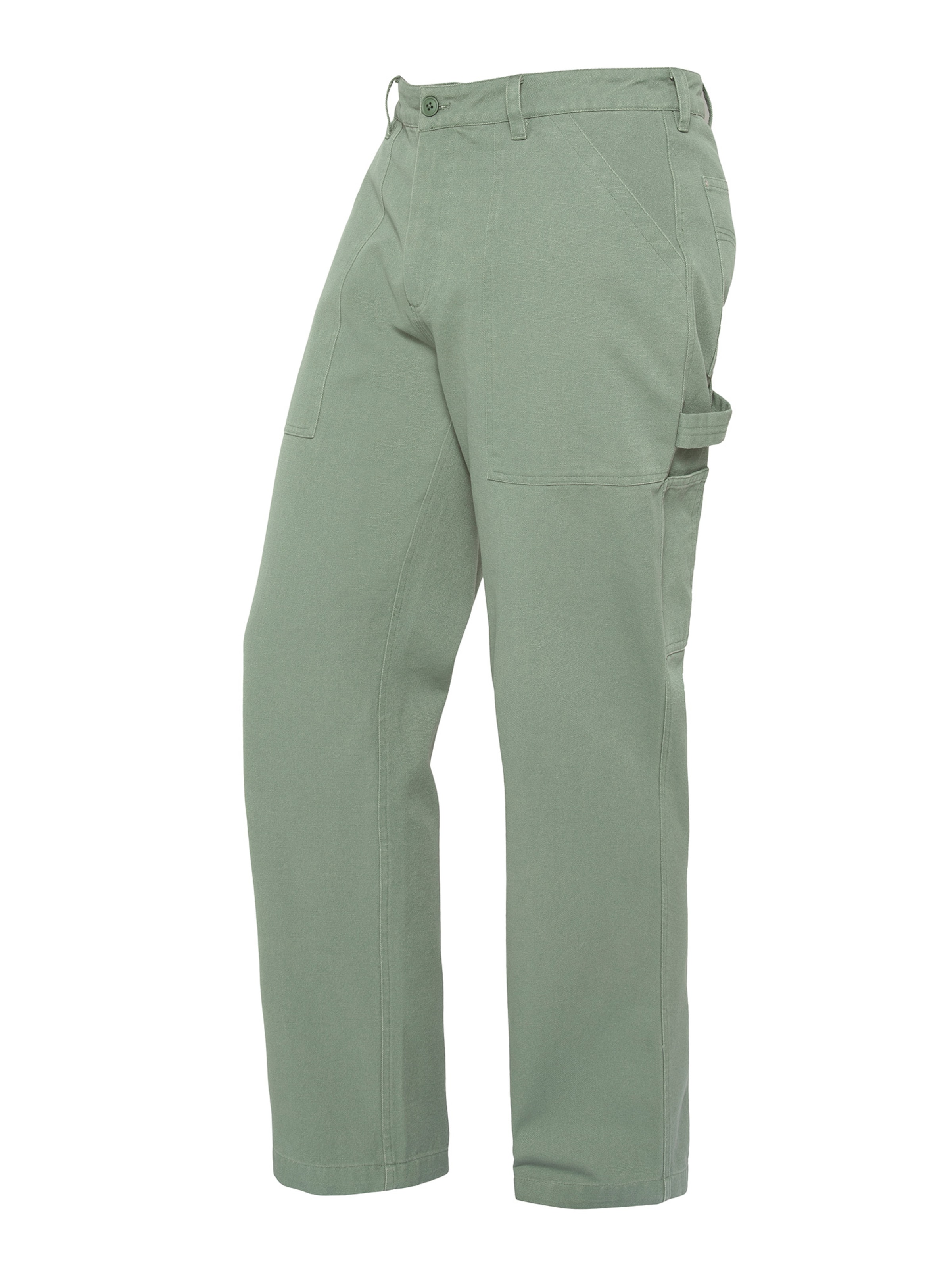 Schott NYC Regular Pants in Green