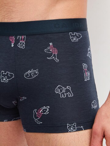 CALIDA Boxershorts 'Family & Friends' in Zwart