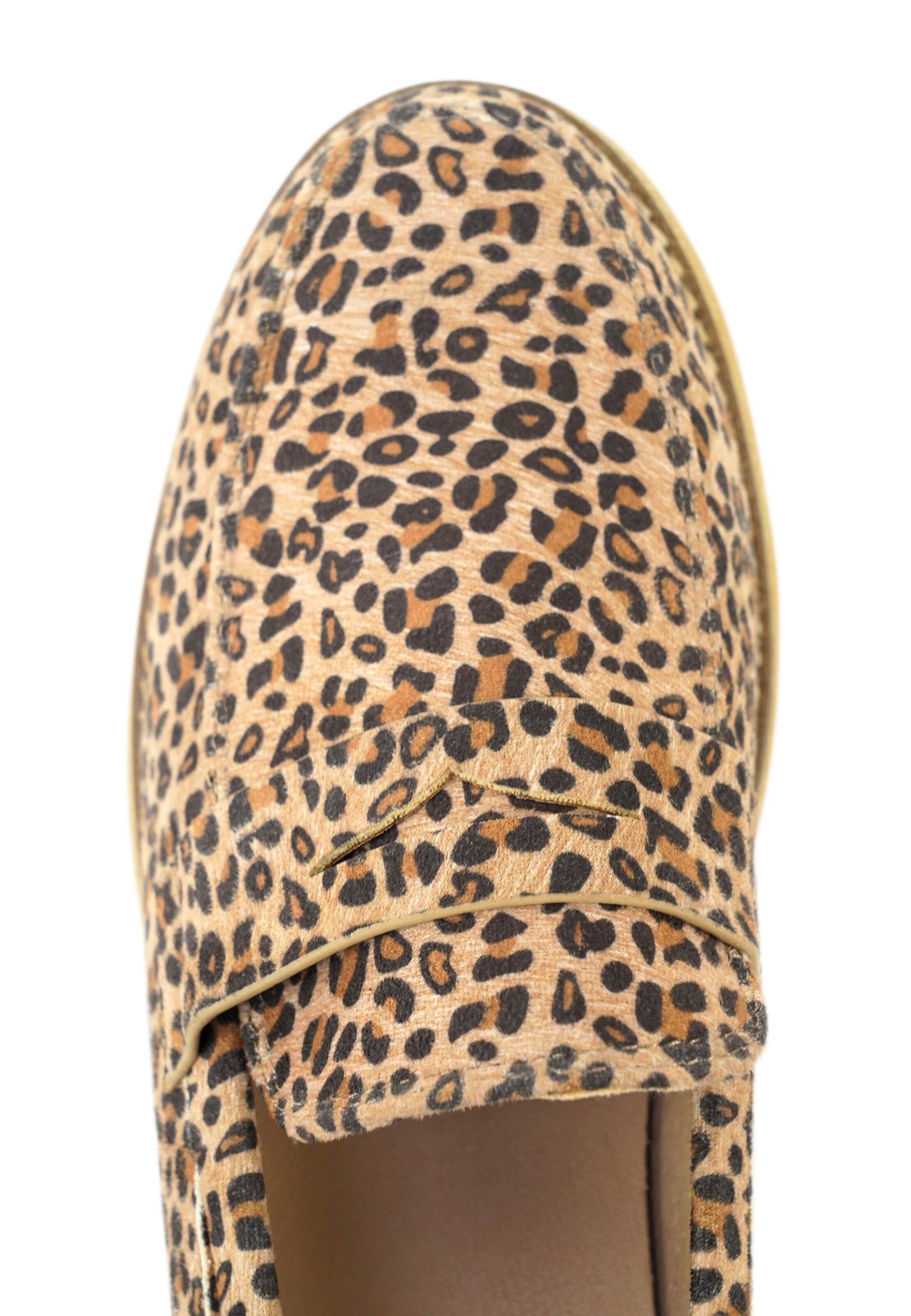 Findlay Slip-ons 'CAVIA' in Beige