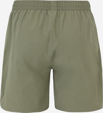 PROTEST Sports swimming trunks 'BAKY' in Green