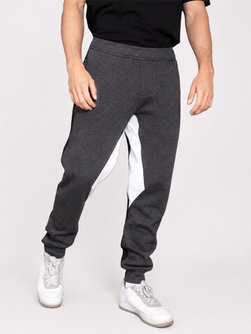 Aletik Regular Workout Pants 'Comfort Sweat Pants' in Grey