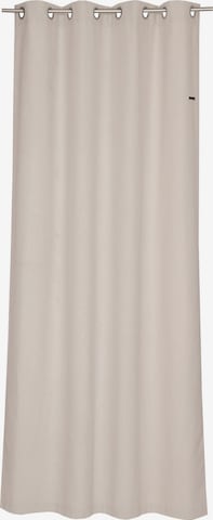 ESPRIT Curtains & Drapes in Beige: front