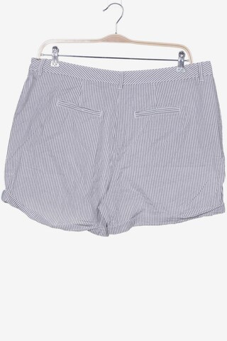 NEXT Shorts XXXL in Grau