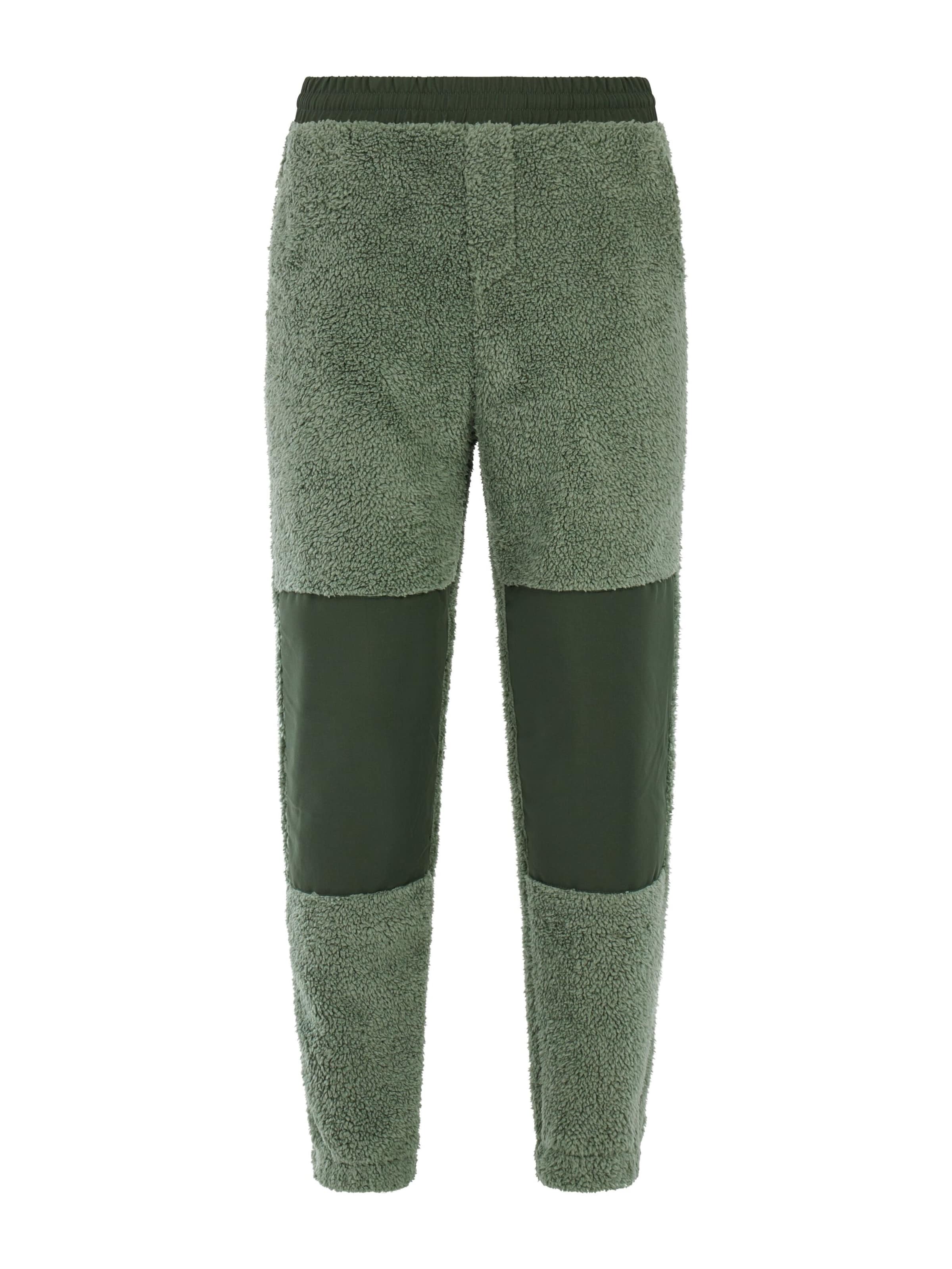 PROTEST Regular Trousers 'PRTRisk' in Green: front