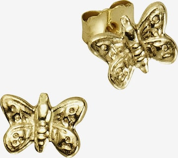 Zeeme Ohrringe in Gold: Vorderseite
