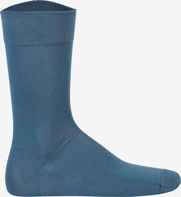 Hudson Socken in Blau: Vorderseite