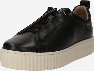 Baskets basses SALAMANDER en noir : devant