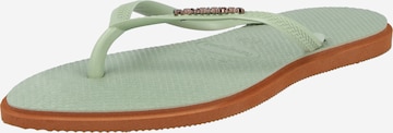žalia HAVAIANAS Šlepetės per pirštą 'SLIM POINT': priekis