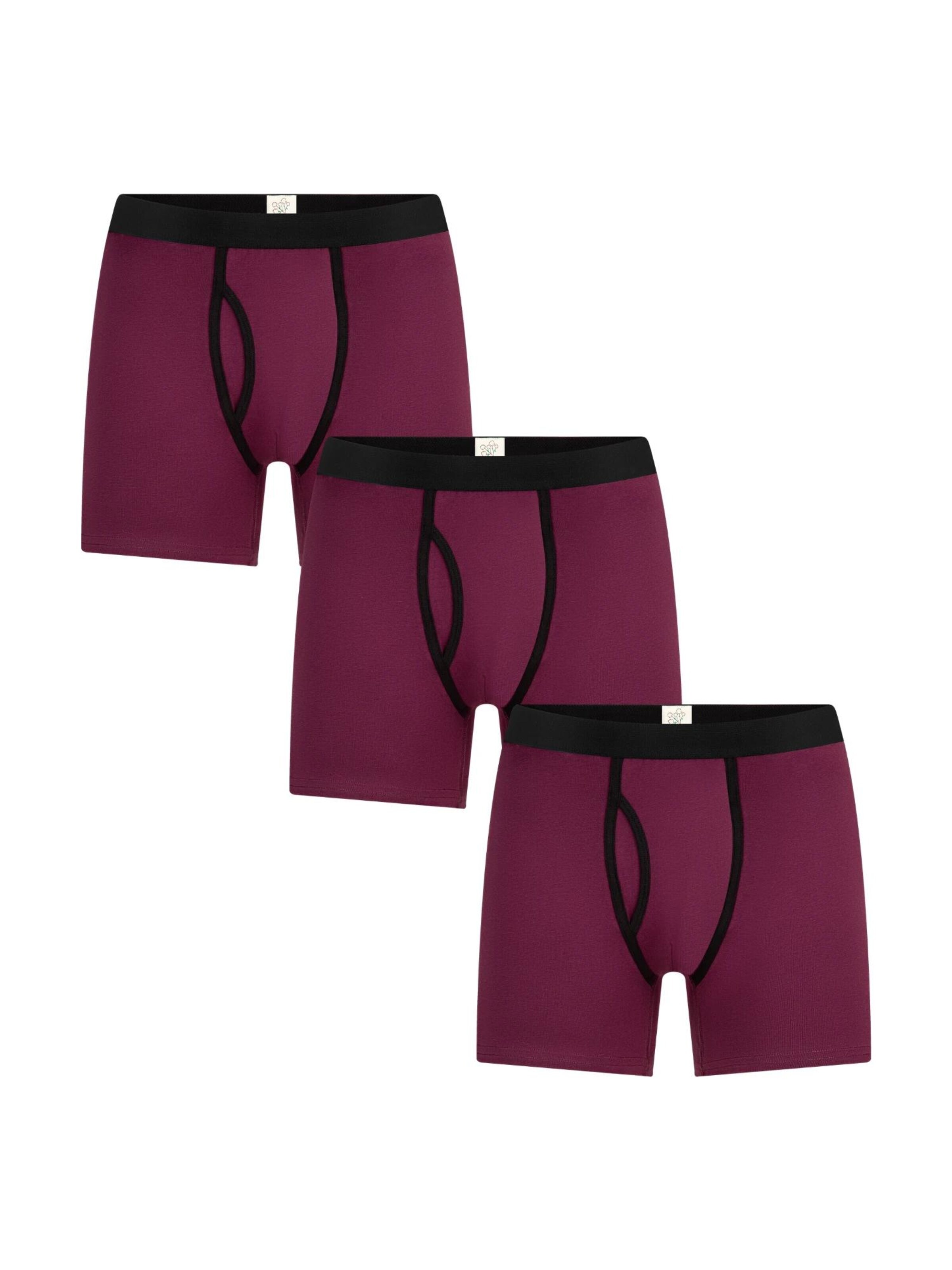 Albero Natur Boxer shorts in Purple: front