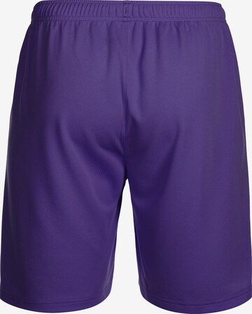 Regular Pantalon de sport 'TeamRise' PUMA en violet