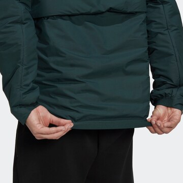 ADIDAS TERREX Outdoor jacket 'Terrex Ct Myshelter' in Green