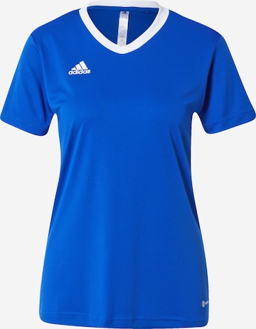 ADIDAS SPORTSWEAR Dres | modra barva: sprednja stran