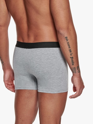 Adam Boxershorts '6er Pack'‌‌‌‌‌ in Grau