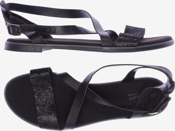 CLARKS Sandals & High-Heeled Sandals in 40 in Black: front