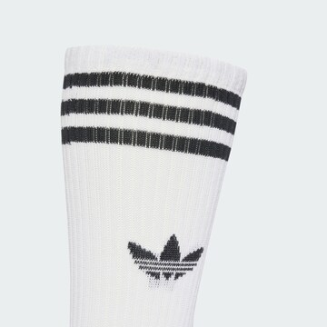 ADIDAS ORIGINALS Socks in White