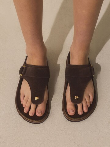 Tongs Next en marron