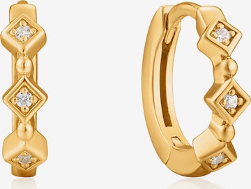ANIA HAIE Earrings 'Sparkle Huggie Hoops' in Gold: front