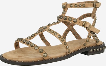 ASH Босоножки с ремешком 'PRECIOUS04' в Коричневый: спереди