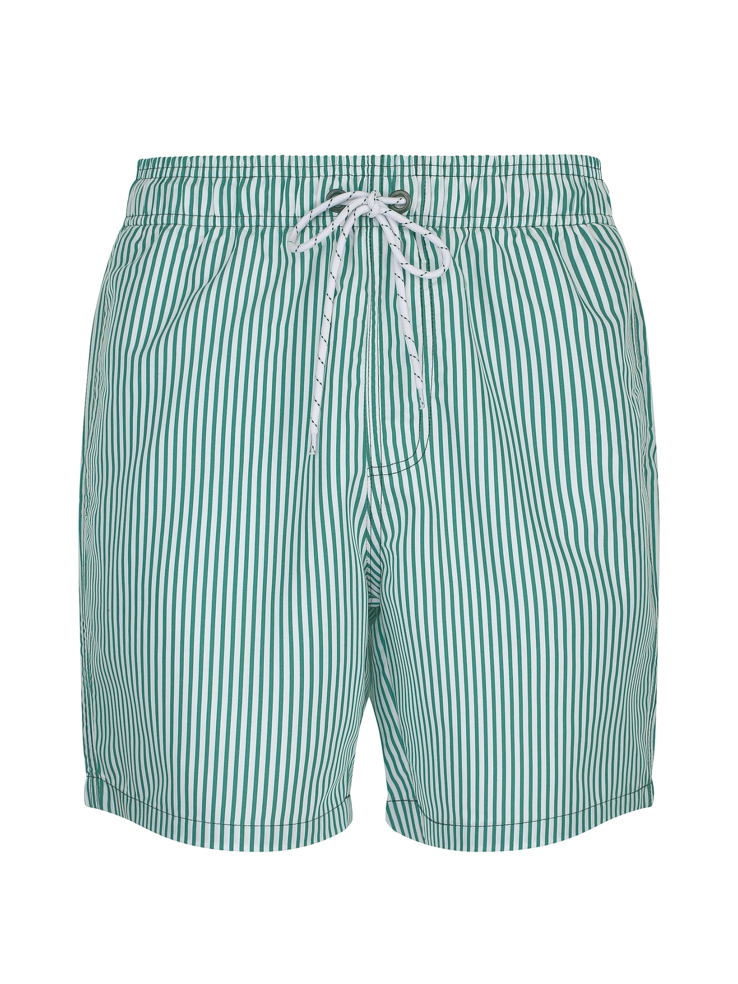 wavebreaker Board Shorts in Green: front
