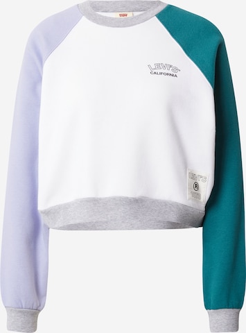 LEVI'S ® Collegepaita 'Vintage Raglan Crewneck Sweatshirt' värissä monivärinen: edessä