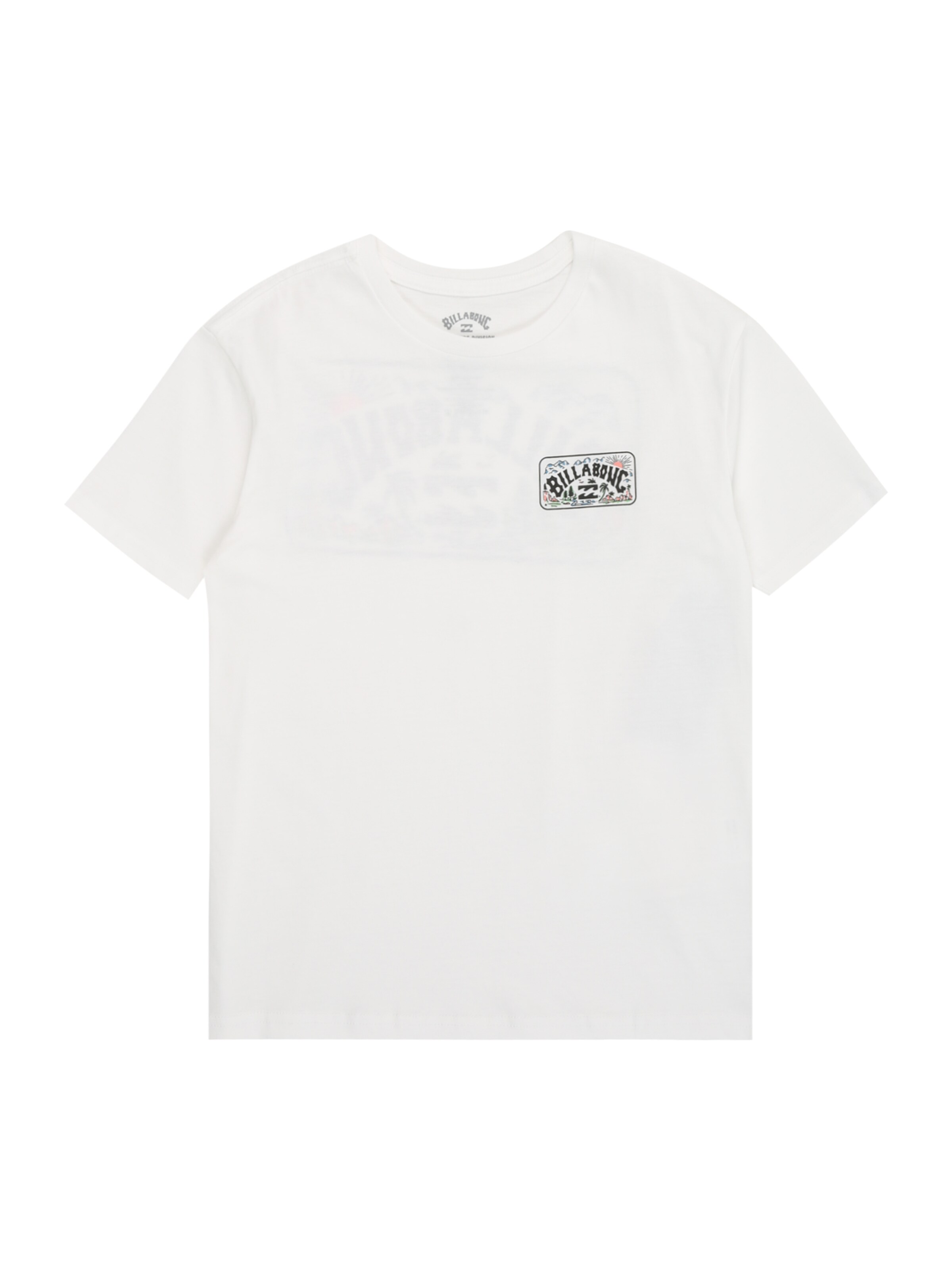 BILLABONG Functioneel shirt 'SCENIC ARCH' in Wit: voorkant