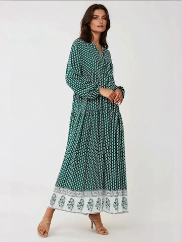 Hiccup Kleid in Grün