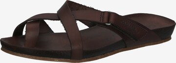 COSMOS COMFORT T-Bar Sandals in Brown