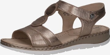 CAPRICE Sandals in Bronze: front