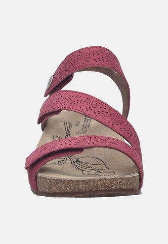 JOSEF SEIBEL Sandale 'TONGA 78' in Pink