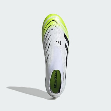 ADIDAS PERFORMANCE Voetbalschoen 'Predator Elite' in Wit