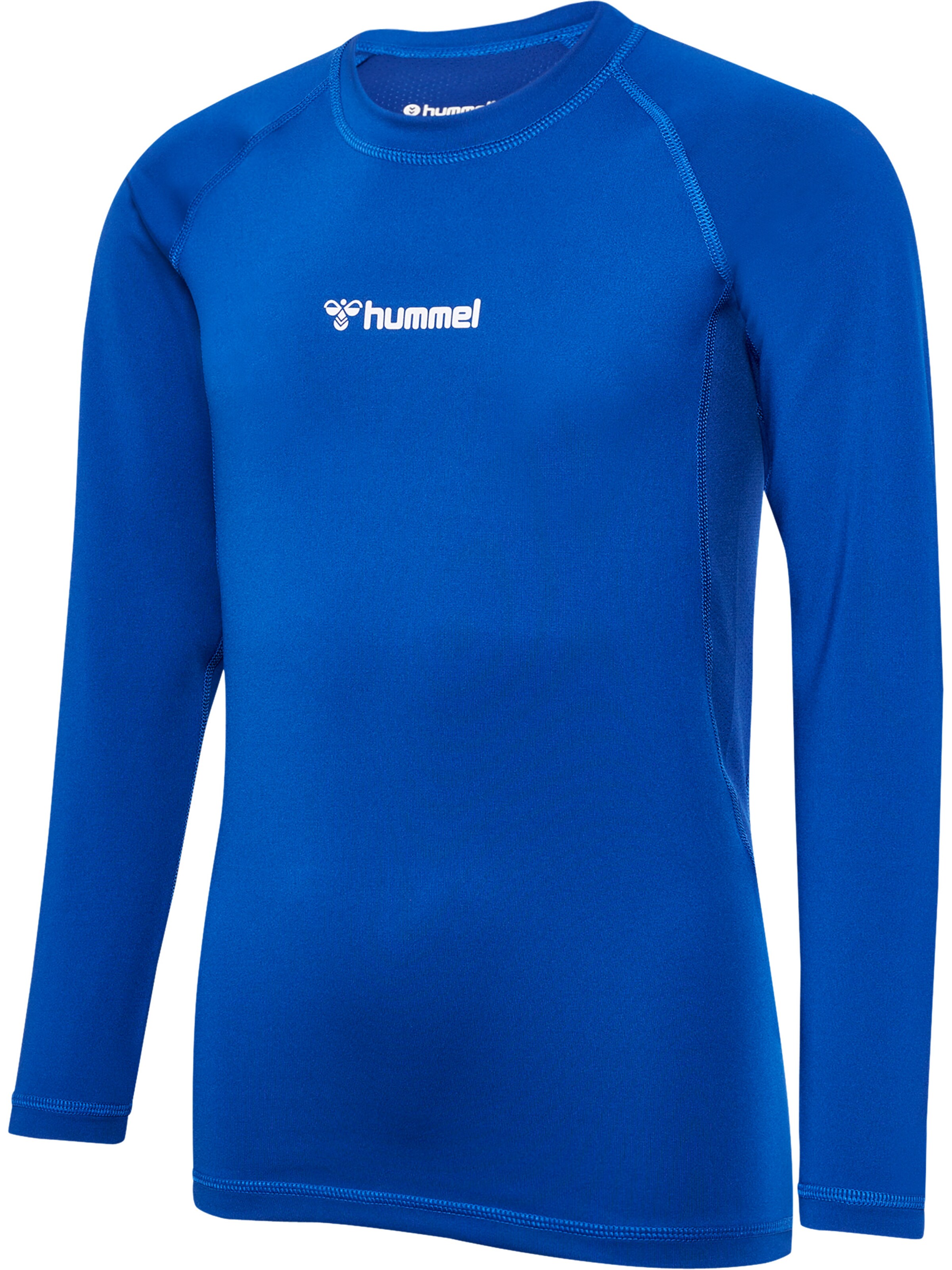 Hummel Funktionsshirt 'BL PERFORMANCE ' in Blau