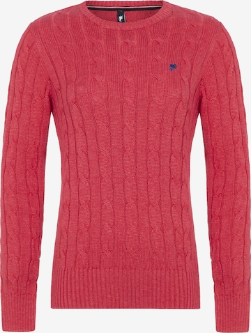 DENIM CULTURE Sweater 'LUDOVICA' in Pink: front