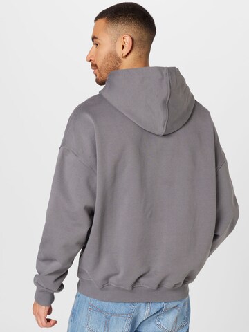 Pequs Sweatshirt in Grau