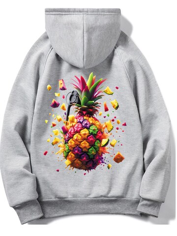 RMK Sweatshirt 'Ananas' in Grey: front