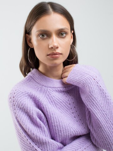 BIG STAR Sweater 'Pikulina' in Purple