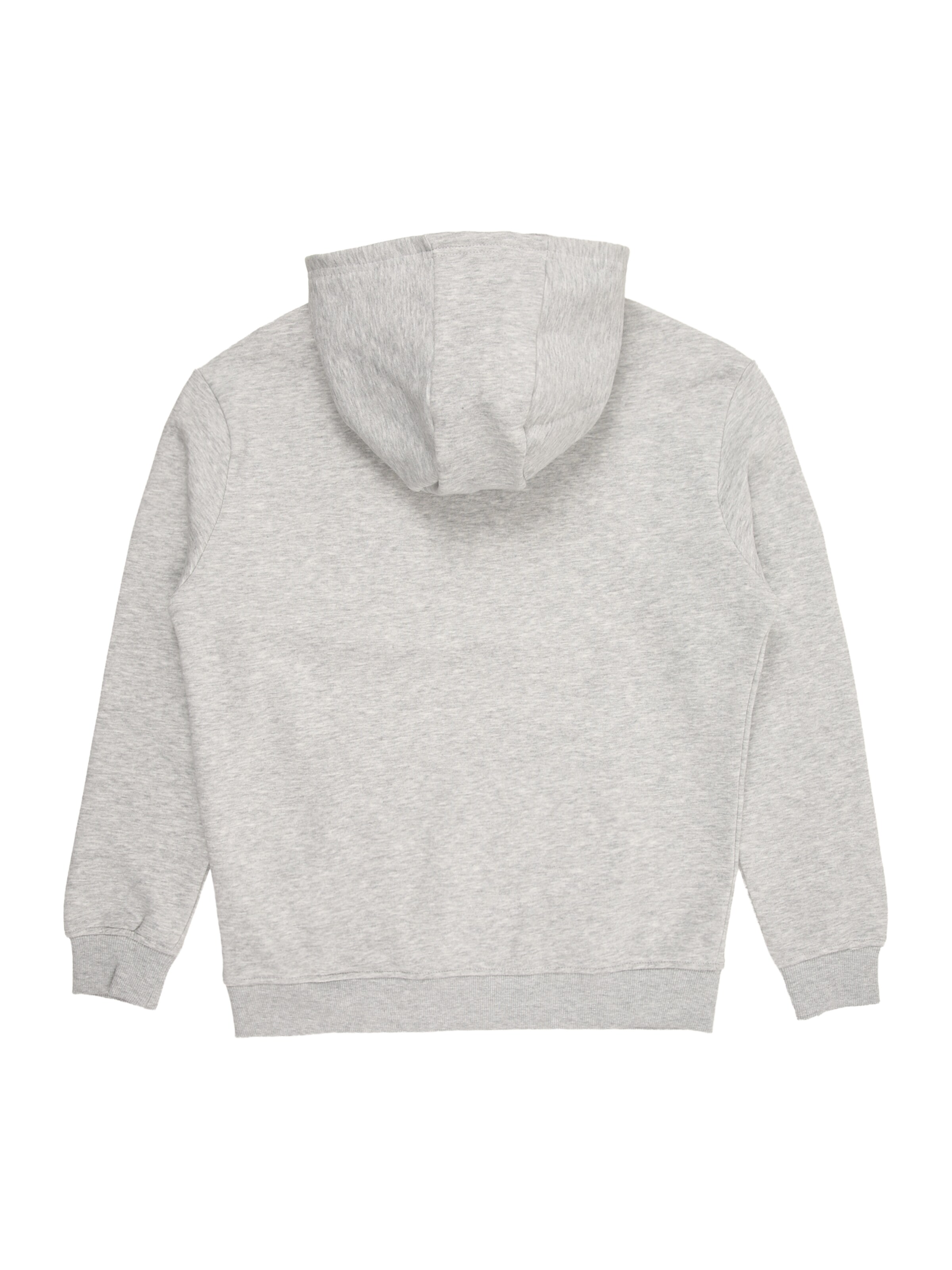 pelēks 4F Junior Sportiska tipa džemperis