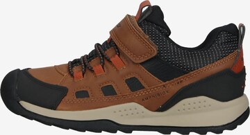 GEOX Sneakers in Bruin