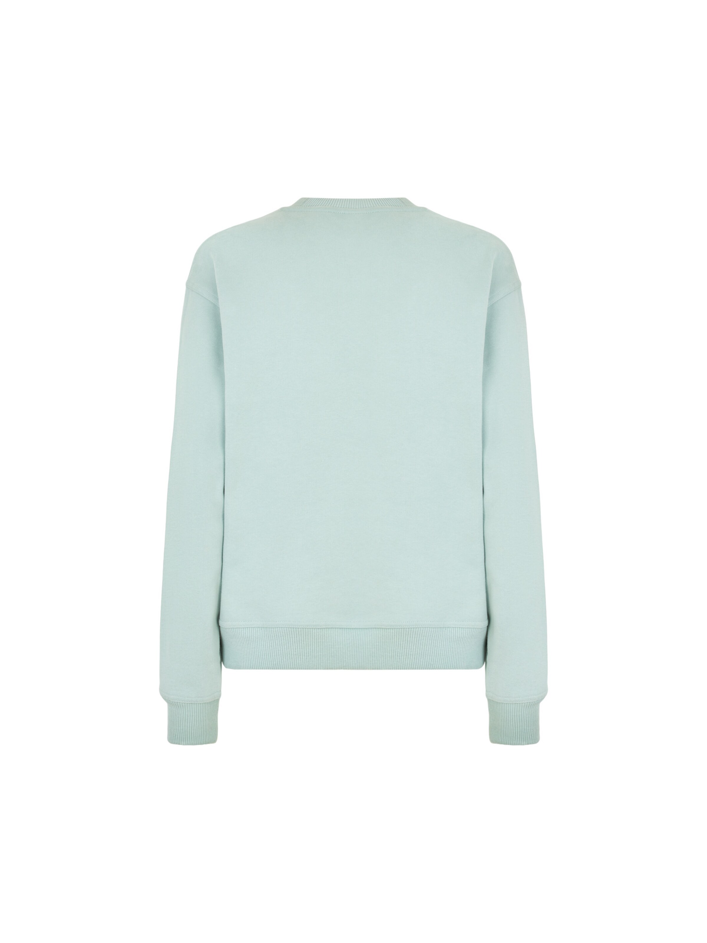 DICKIES Sweatshirt 'CLANCY' in Green