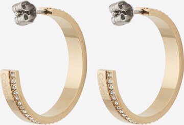 Calvin Klein Earrings in Gold