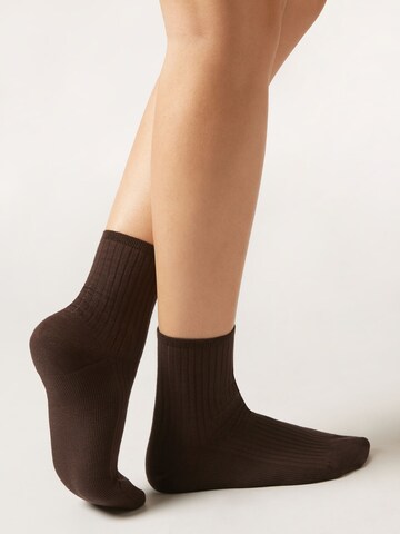 CALZEDONIA Socks in Brown: front