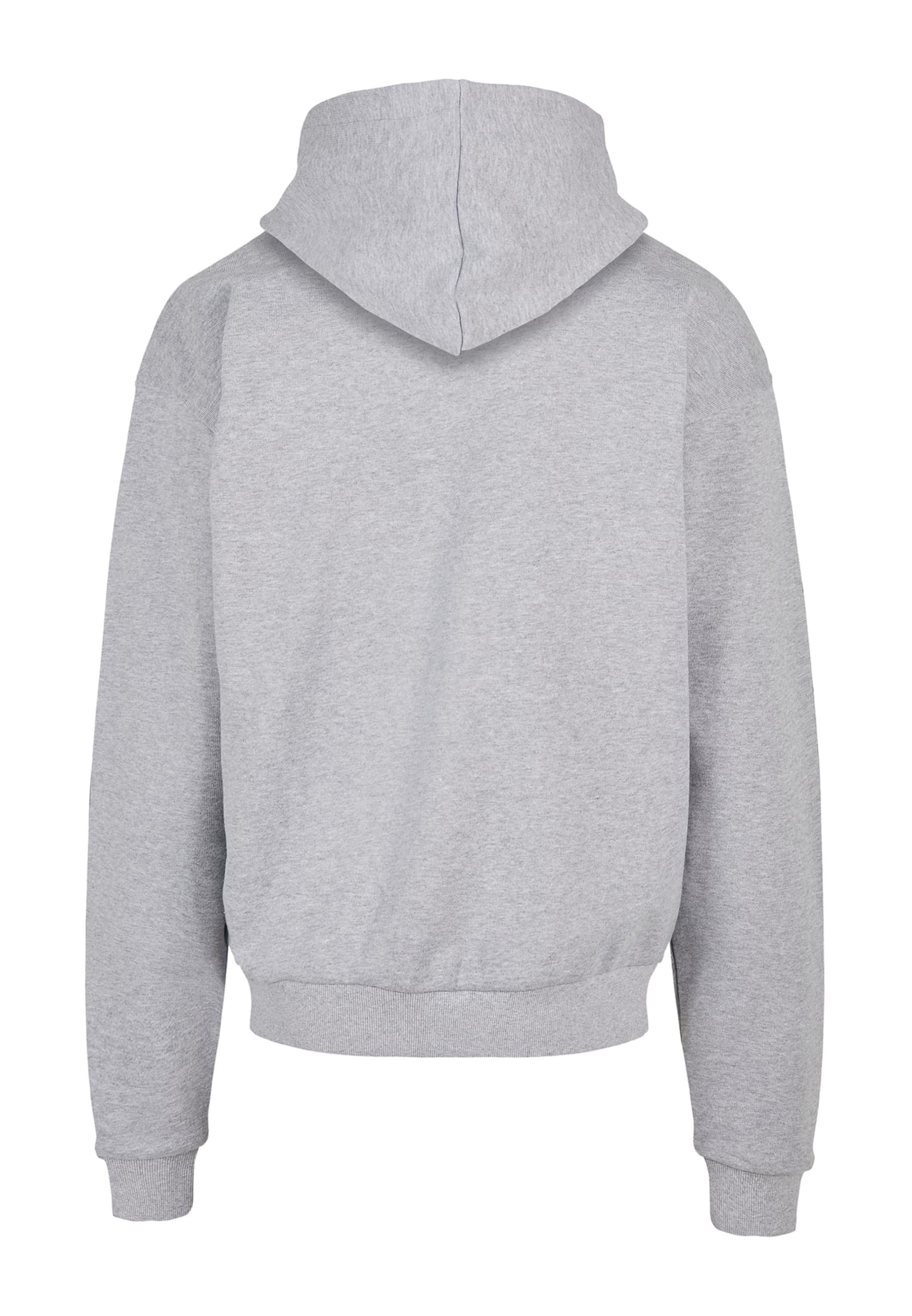 Felpa 'Invest' di Lost Youth in grigio