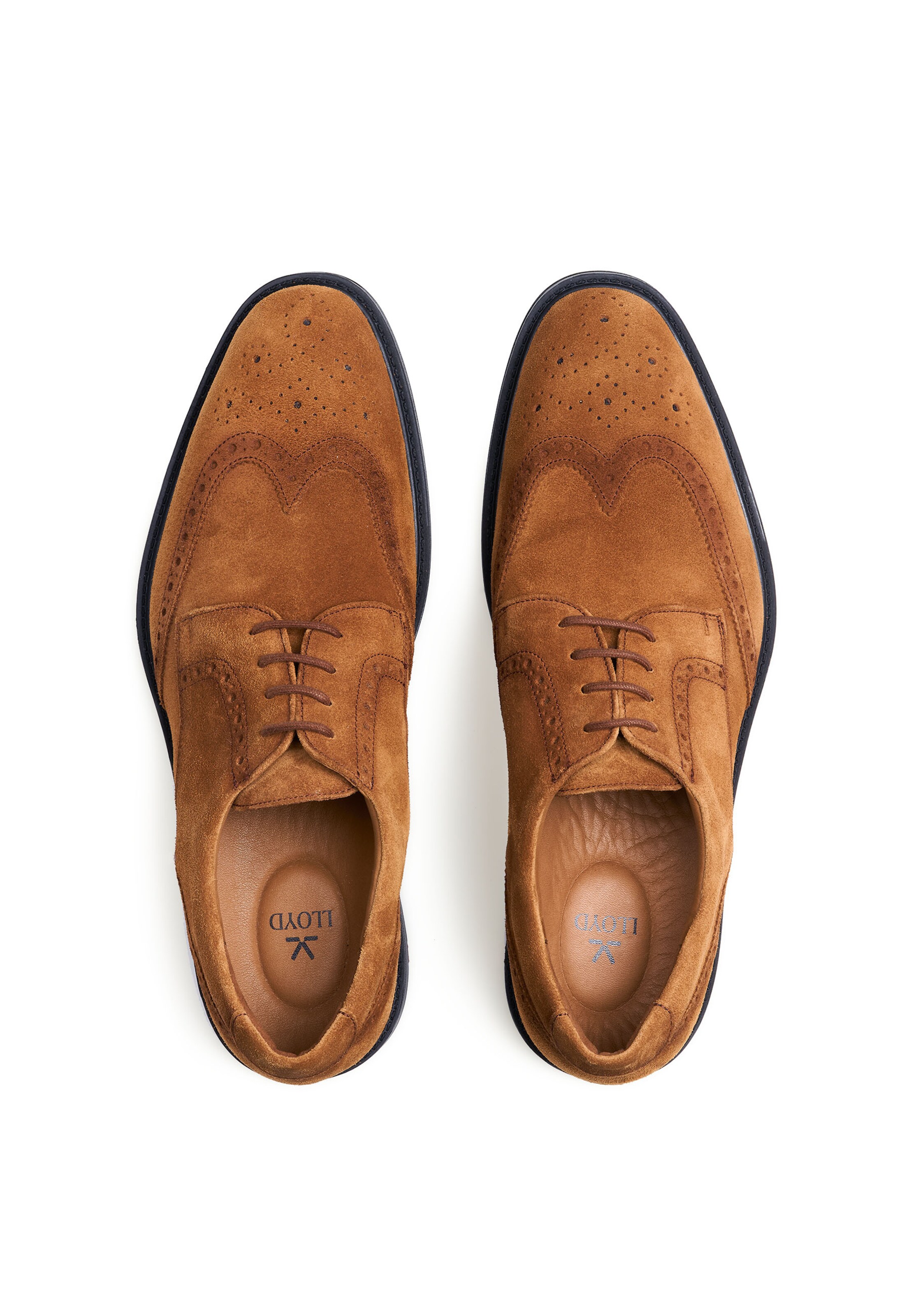 Chaussure à lacets LLOYD en marron