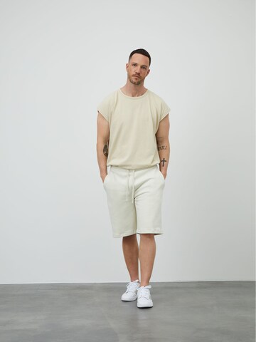 DAN FOX APPAREL - regular Pantalón 'Tino' en gris: frente