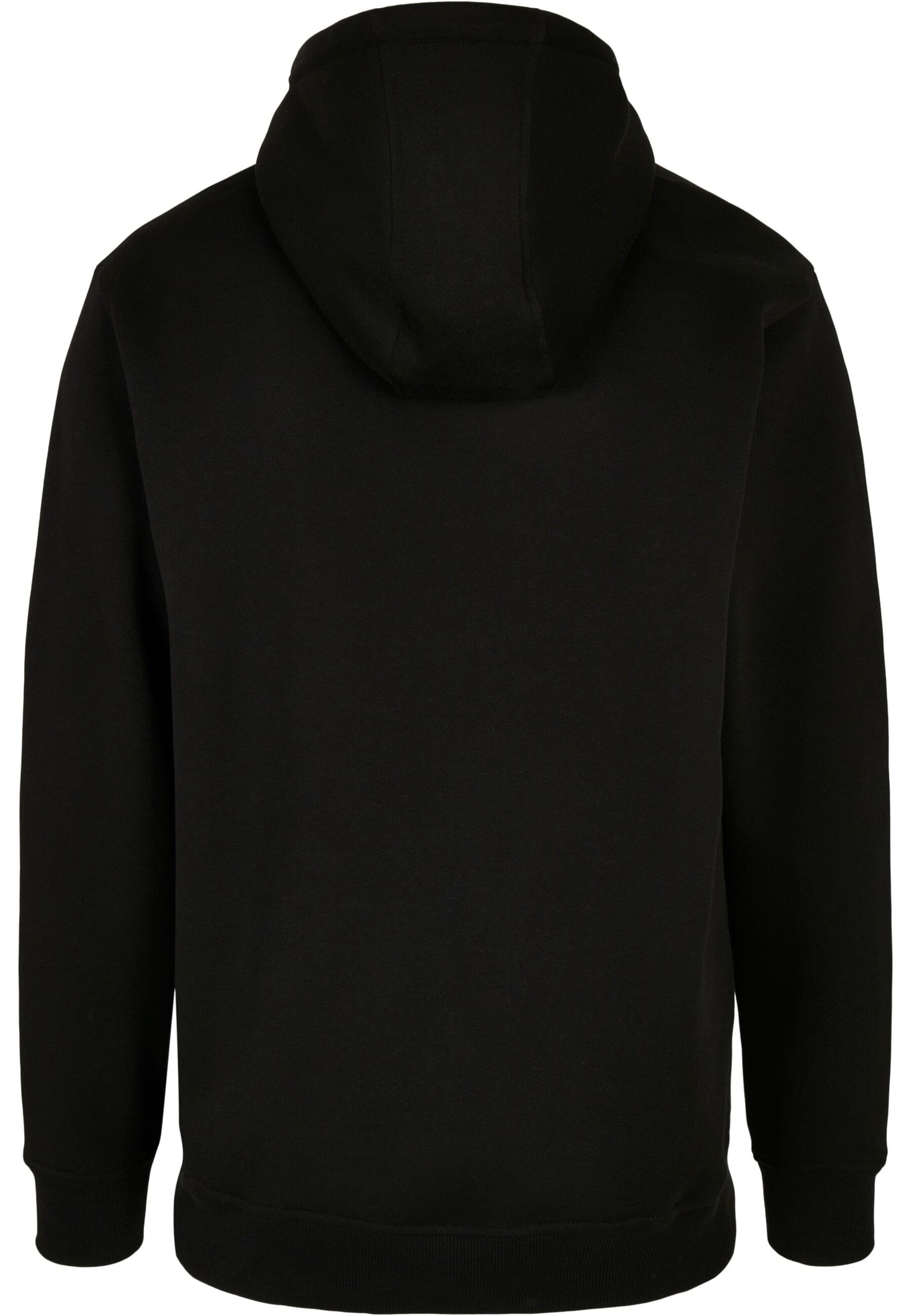 SOUTHPOLE Суичър в черно