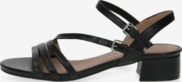 CAPRICE Strap sandal in Black