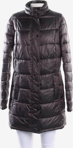 Barbour Winterjacke / Wintermantel M in Braun: predná strana